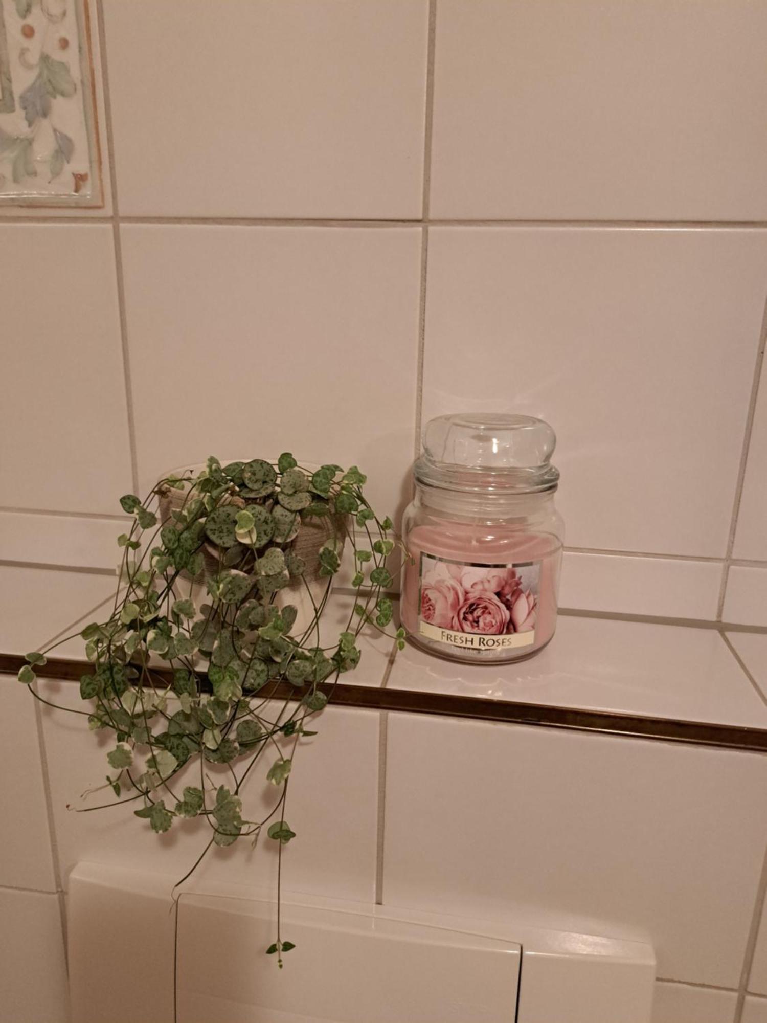 נאודרס Appartements Klapeer מראה חיצוני תמונה